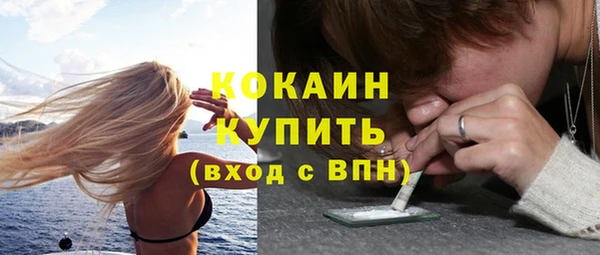 сатива Армянск