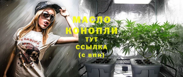 индика Балабаново