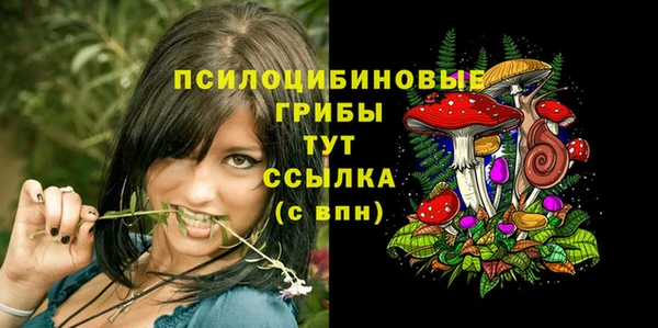 индика Балабаново