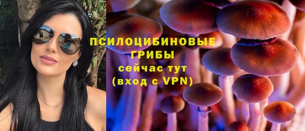 сатива Армянск